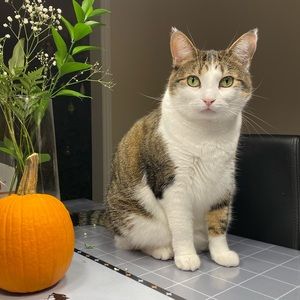 Meet your Posher, Guannan